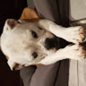 Meet your Posher, Roxy